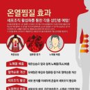 센트럴숲한의원 네이버블로그