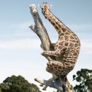 신우세탁 이미지