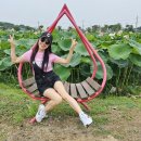 웰빙스포츠댄스 이미지