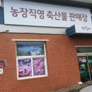 몬트락교육