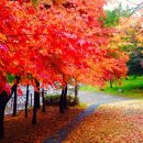 계족산로 이미지