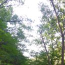 청계산입구 역 2번 출구 이미지