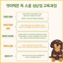 펫더헤븐독스쿨 | 울산 옥교동 애견호텔 펫더헤븐 독 스쿨 비용 시간 위치