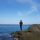 장미 펜션 이미지