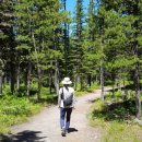 잭슨세탁소 이미지