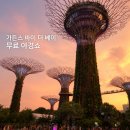 바이 더 아영(By the 아영) | 싱가포르 가든스 바이 더 베이 가는 방법, 무료 야경쇼 슈퍼트리 그로브 가든 랩소디 후기