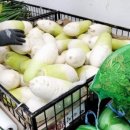 MS마트(후평점) 이미지
