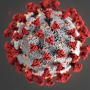 무릉도원면-7 이미지