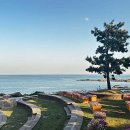 고수갈비 이미지