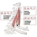일호스포츠