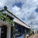 윌리하니 그루밍 | [제주] 제주 성산 맛집 월드클래스 피시앤칩스 윌랄라 포장 후기 &amp; 제주의 성심당 제일성심당 빵지순례
