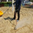 대림초교 병설유치원 이미지