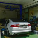 탄현카랜드 이미지