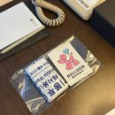 프로포즈 | 제주도 프로포즈 후기 롯데시티호텔 | 벌룬베리