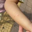 꿈나무소아과의원 이미지