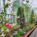 김밥천국당정점 | 수원요양원 가인요양원 영업시간