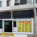 맘모스찜닭 이미지