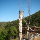 매남3리 | 경산시경계산행협의회 시경계종주 4구간 (도삼재 (질머리재) ~ 귀바우 마을)