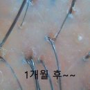 유전사우나
