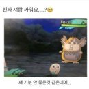 롯데월드 평일 피카츄 포토타임 시간대 / 포켓몬 포토존 / 3월말 롯데월드 방문 후기