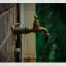 자연뜰약국 이미지