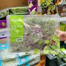 샐러드야 이미지