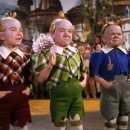 김냐옹 미용실 이미지