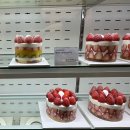 5924 | [안양 범계역 | 디저트] 쁘띠 케이크 구움과자 ‘수리르케이크’ 재방문각 맛집