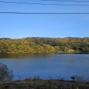 메이드컴퍼니 이미지