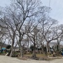 완도...당목마을 당제 이미지