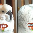 태식농장 이미지