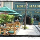 태국골프 [빠통비치]MOLLY MALONE IRISH PUB (굿 타이 투어 게시글) 이미지
