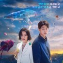 멘다코