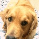 척산온천 이미지