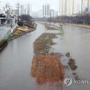 온천천일대13 이미지