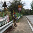 황룡강제방길 Daum카페