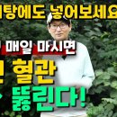 물처럼 매일 마시면 막힌 혈관 뻥~뚫린다! 이미지