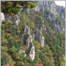 금강산관광(주)