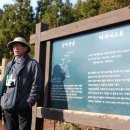 (유)진렌터카 이미지