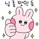 뉴 현대카 이미지