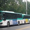 주정차-57 이미지