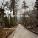 천재 최치원이 머물던 곳, 팔만대장경을 품은 우리나라 3대 법보사찰 가야산 해인사