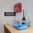 꼼지락 유아미술 | 분당 아이사랑놀이터 야탑 센터본점 햇살가득 놀이터 무료이용 방법 주차 꿀팁