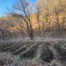 호도마을회관 이미지