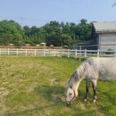 궁평항로 이미지