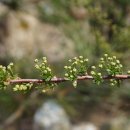 화목교회 이미지