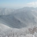 제266차 02월12일 민주지산 (영동)눈꽃산행 신청 이미지