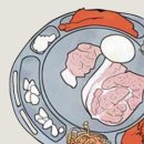 정릉시장 티스토리