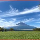 모리폴리 이미지