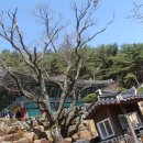 마애사(주차장) 이미지